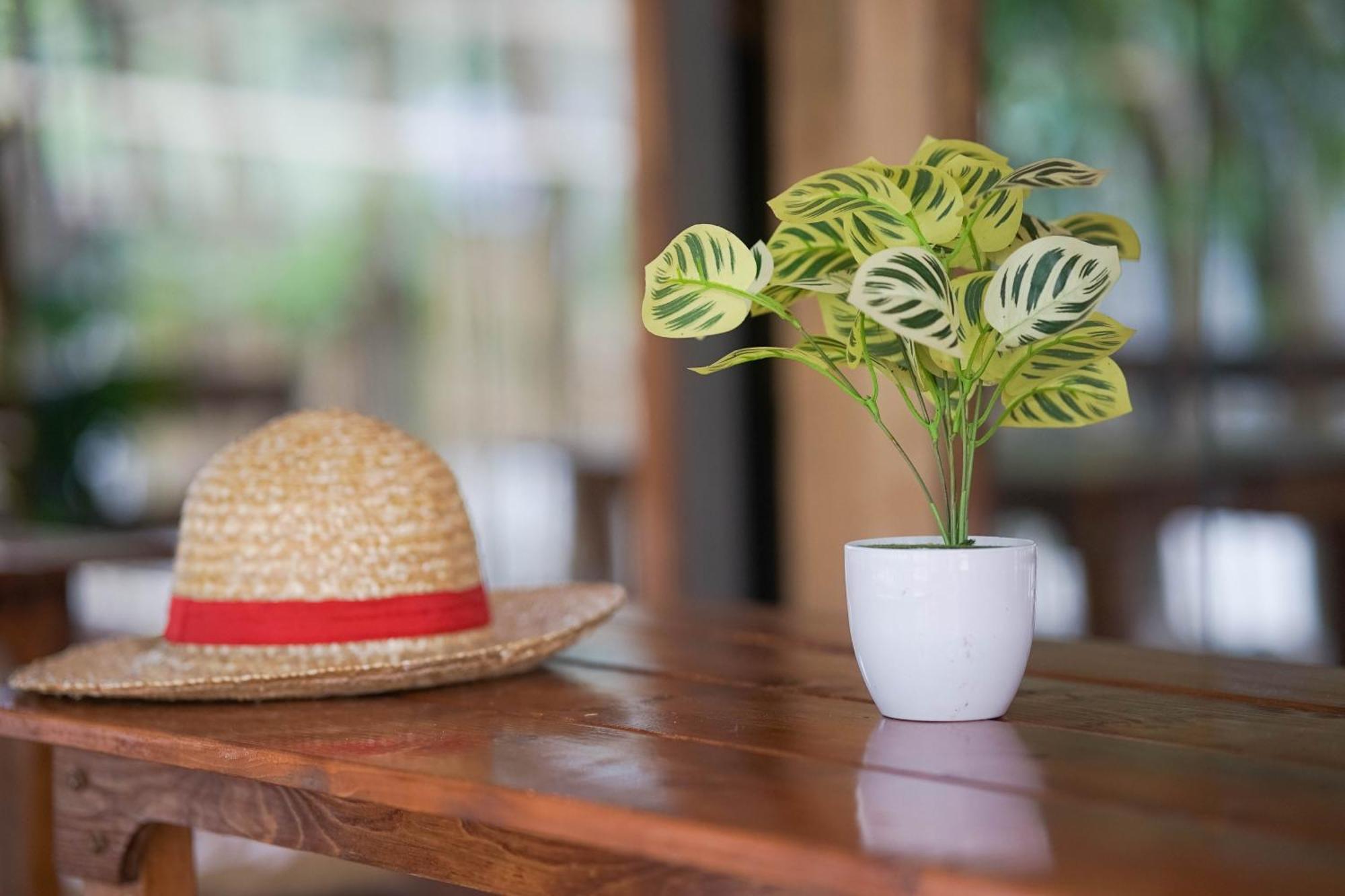 Straw Huts Liwliwa Hotell San Felipe  Eksteriør bilde